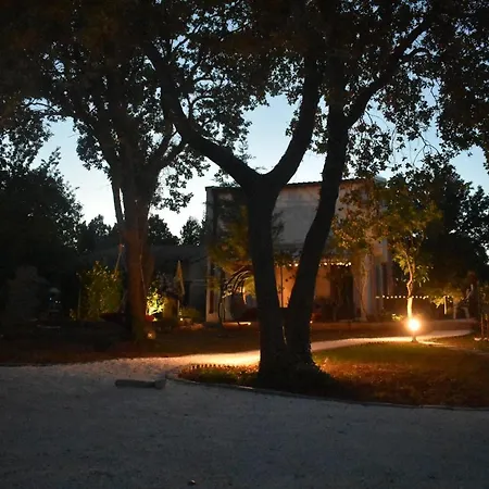 Istra Pavicini